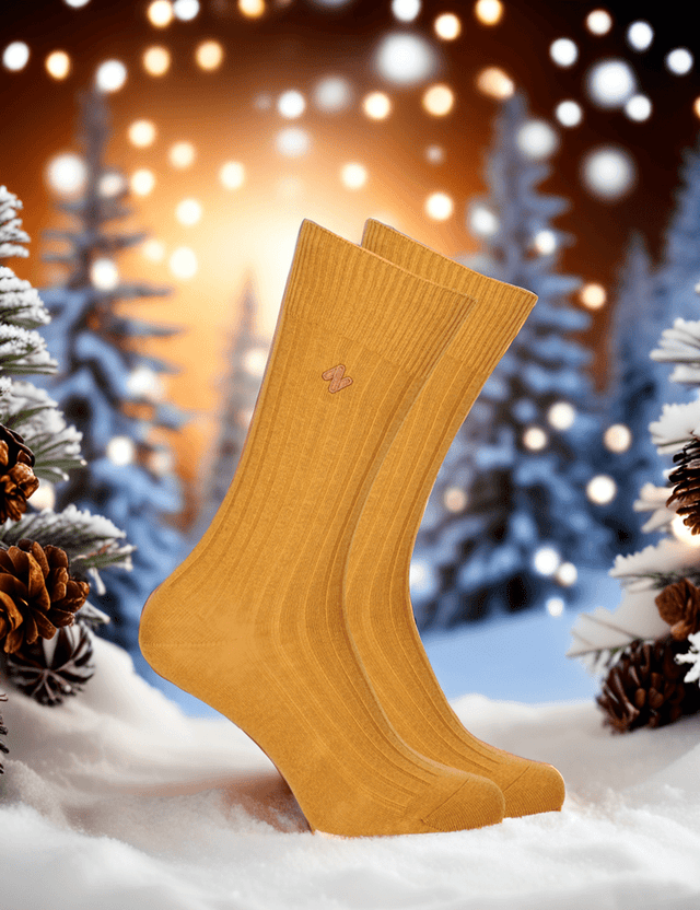 Long Socks | 2 Paar | Bio - Baumwolle | Unisex von ZOCKN